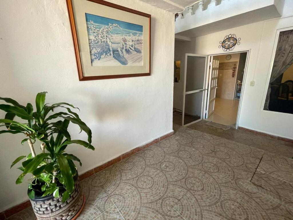 Casa El Quinto Elemento, Departamento Tierra! Apartment Isla Mujeres Bagian luar foto